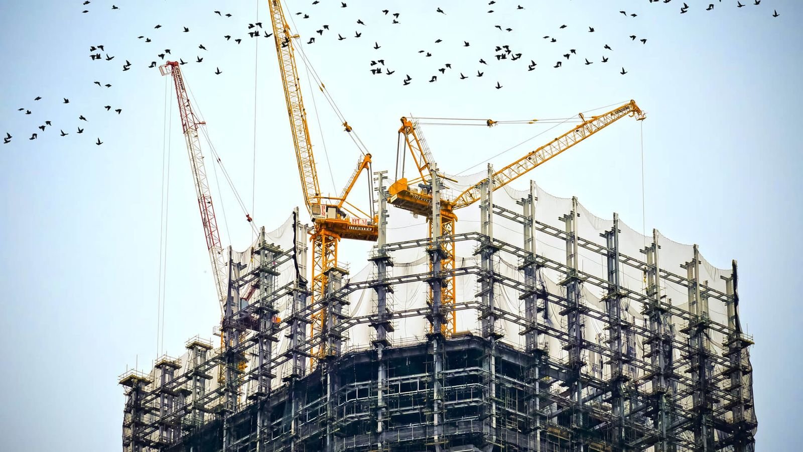 Grúas sobre una torre en construcción